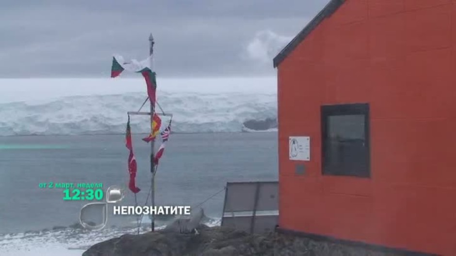 "Антарктида - Предизвикателството" от 2 март всяка неделя от 12:30 ч. само по bTV