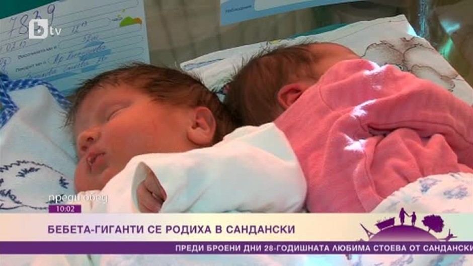 Бебета гиганти се родиха в Сандански