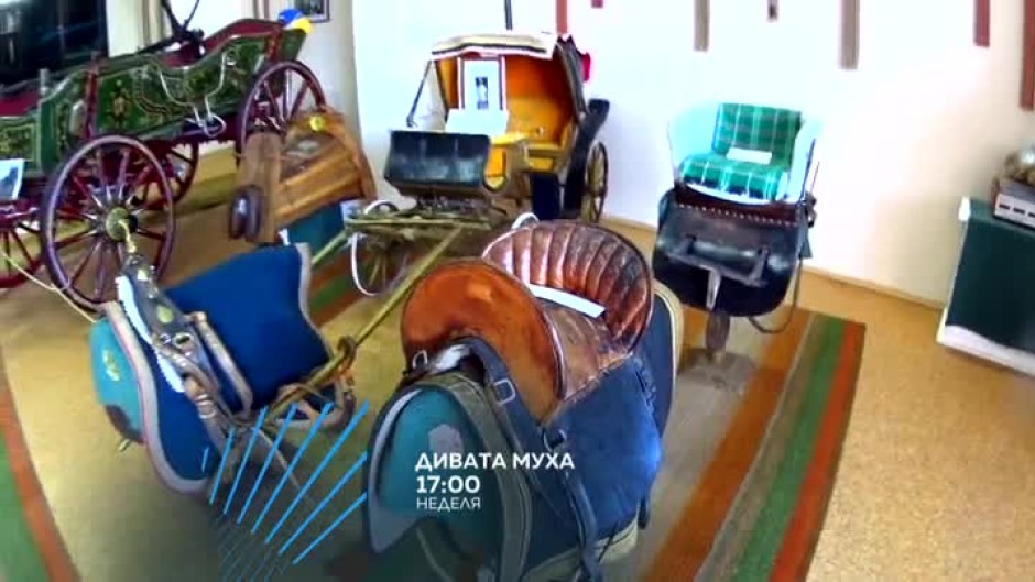 "Дивата муха" на пътешествие до Стара Загора - тази неделя от 17 часа по bTV Action