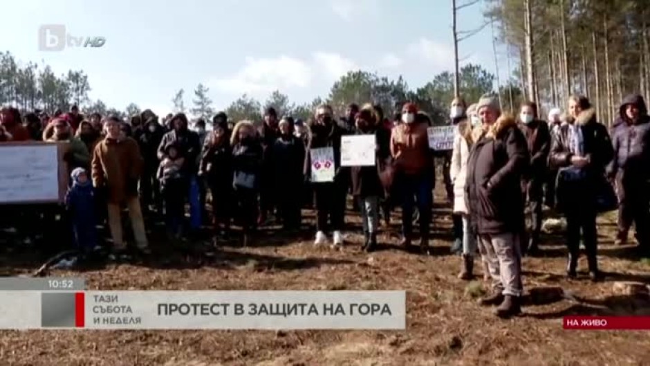 Във Варна се провежда протест в защита на борова гора
