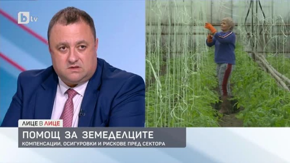 Иван Иванов: За оранжерийно производство са предвидени 3,5 млн. лв.