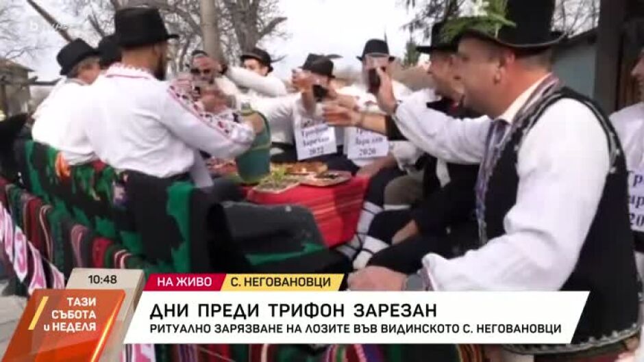 Ритуално зарязване на лозите във видинското село Неговановци