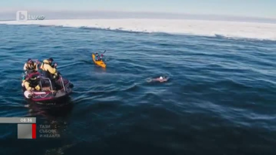 Рисковано плуване в ледените води на Арктика