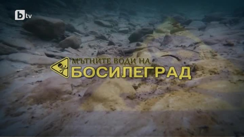 bTV Репортерите: Мътните води на Босилеград