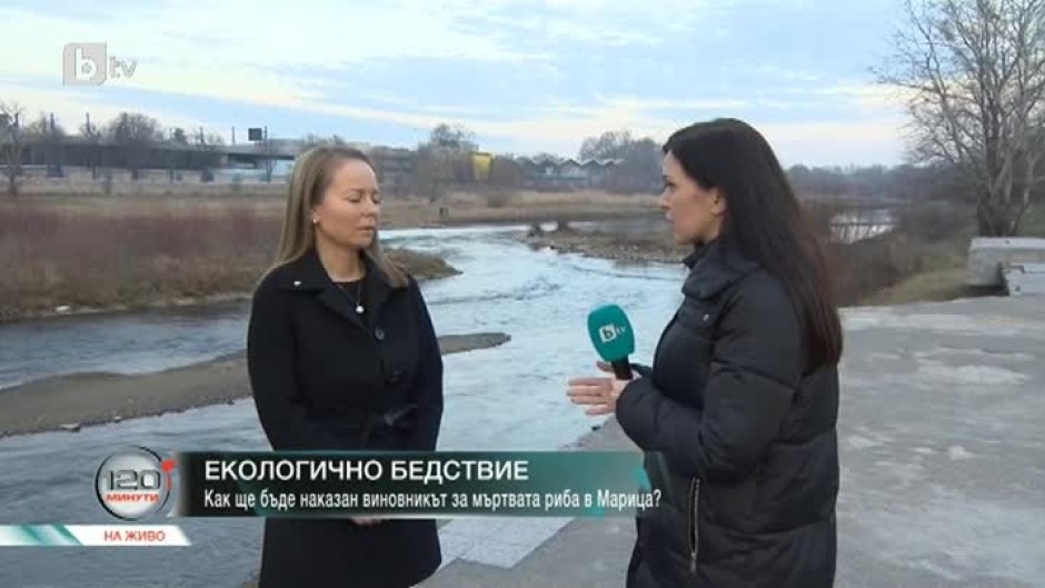 Екологичното бедствие по река Марица продължава