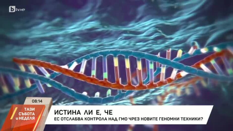 "Истина ли е, че...": ЕС отслабва контрола на ГМО врез новите геномни техники