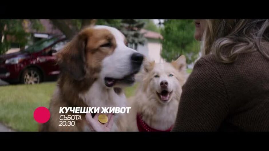 Гледайте "Кучешки живот" в събота от 20:30 по bTV Comedy