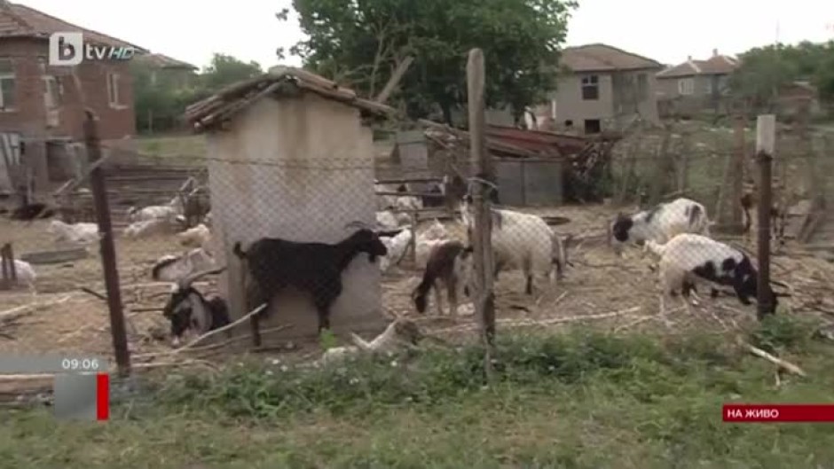 Ново напрежение се очаква в ямболското село Шарково