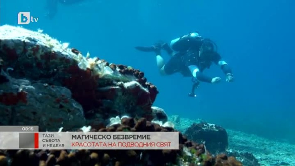 Димитър Сапаревски: Човек може да се нарече водолаз, когато се научи да обича морето и да го пази