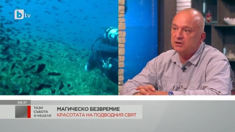 Фоторепортерът Ладислав Цветков засне красотата на подводния свят