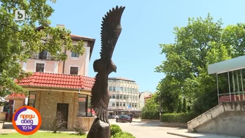 Как дървета във Враца се превърнаха в скулптури?
