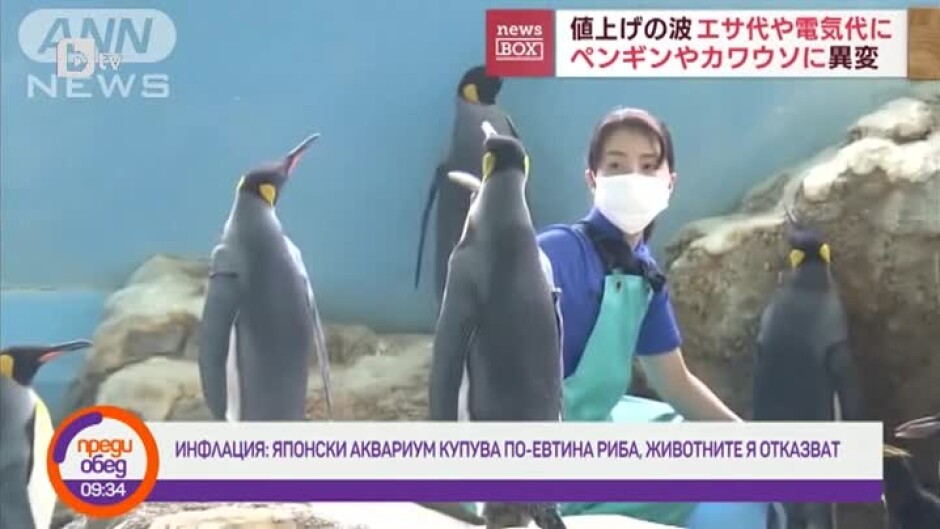 Днес всички говорят за... кризата в японски аквариум