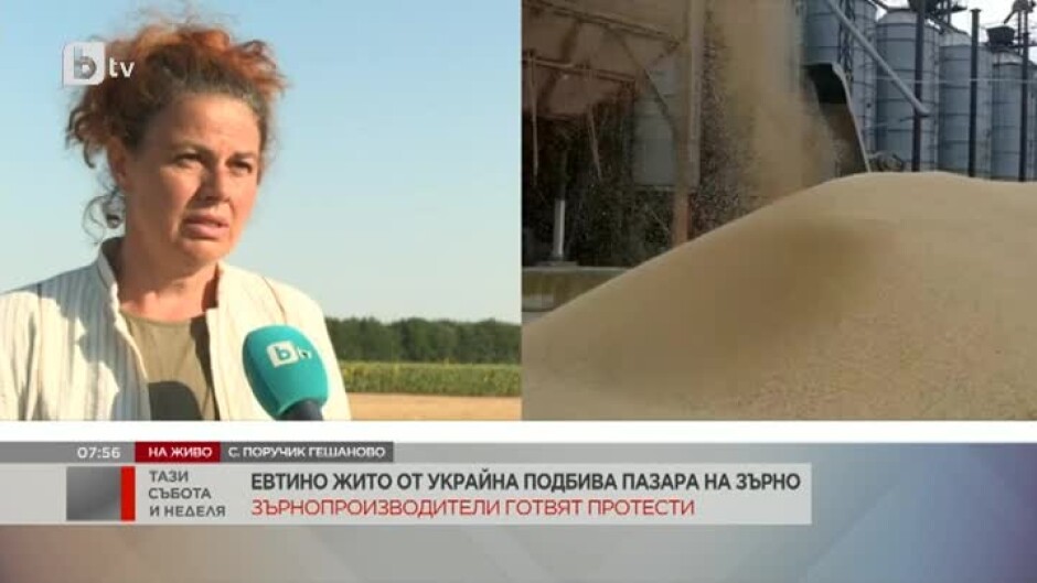 Липсата на пазар притеснява зърнопроизводителите