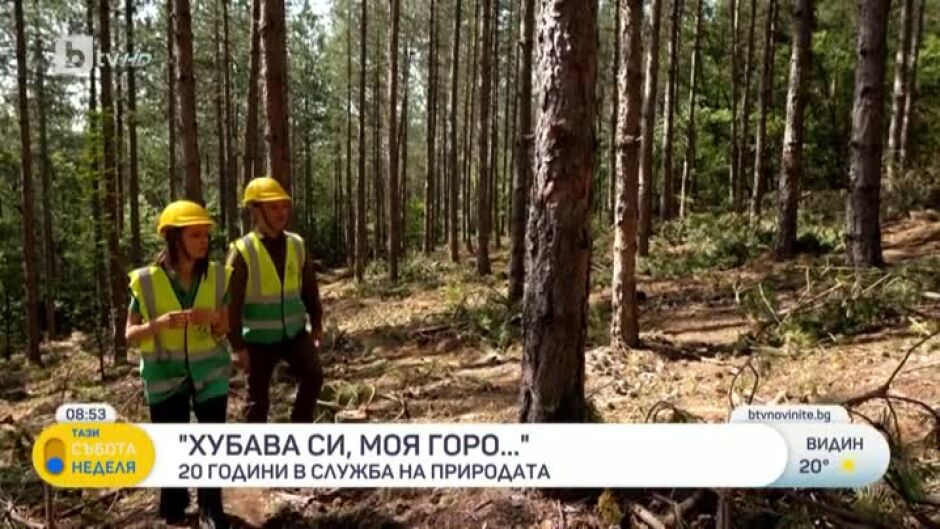 Професия "Лесовъд": За трудностите и любовта към гората