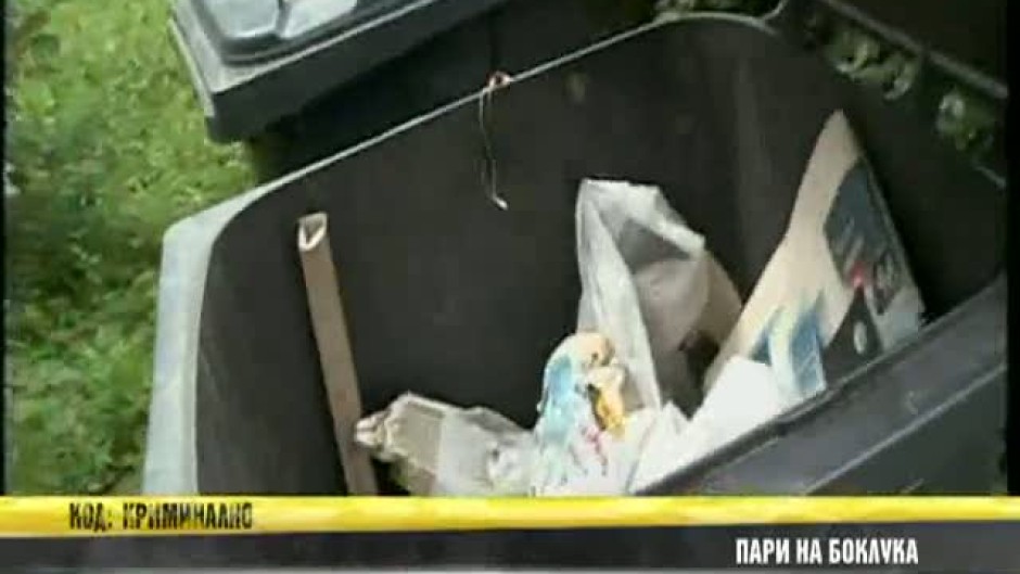 Възрастна румънка изхвърли 10 000 евро на боклука