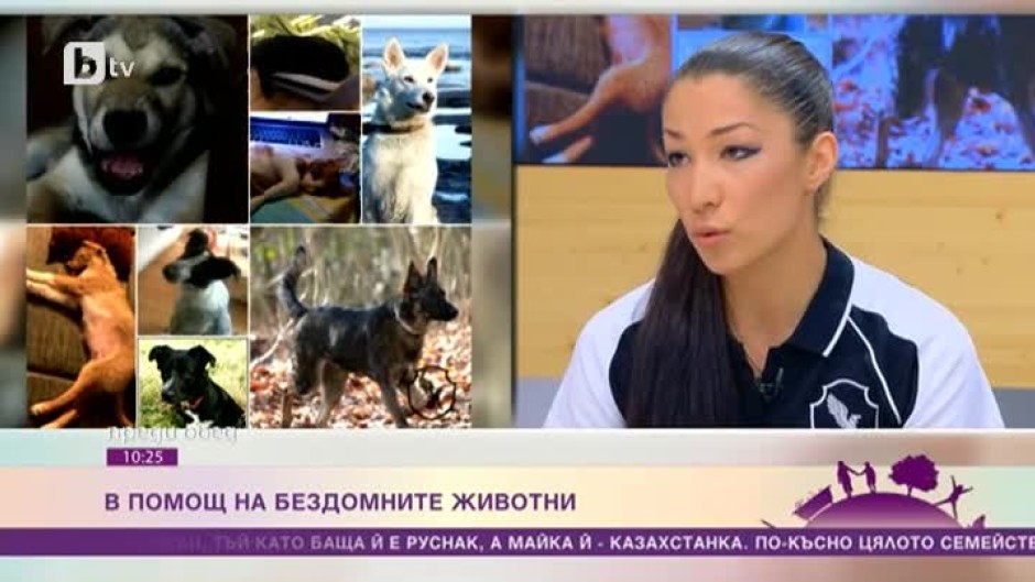 Как една казахстанка и една българка, живяла по цял свят, помагат на бездомните животни у нас?