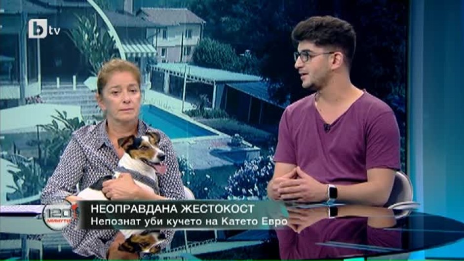 Катето Евро към убиеца на кучето й: Знам, че полицията ще те намери
