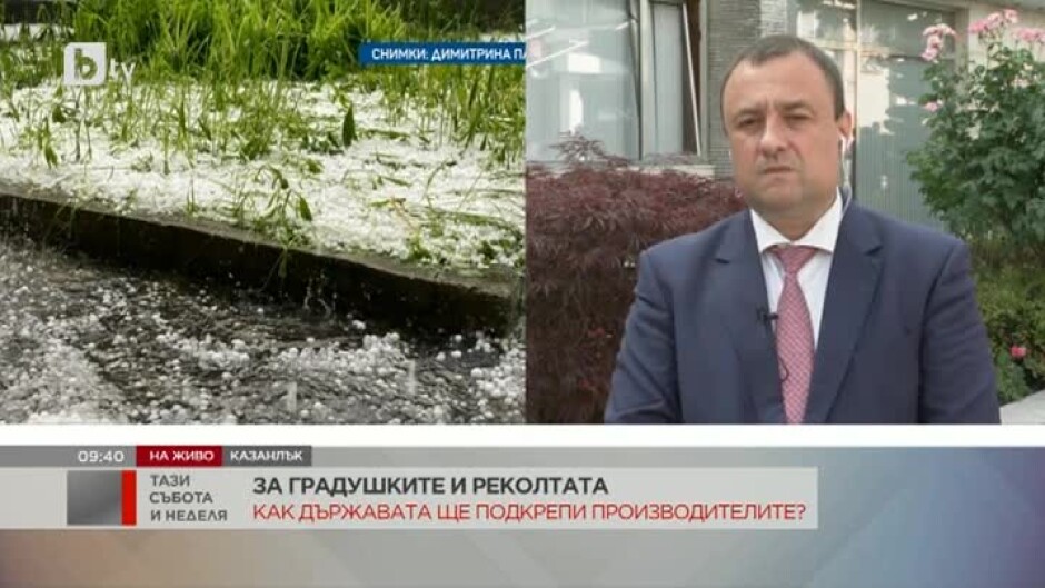 Иван Иванов: Има разработен механизъм да бъдат обезщетение земеделските стопани, които са с под 100% пропаднали площи