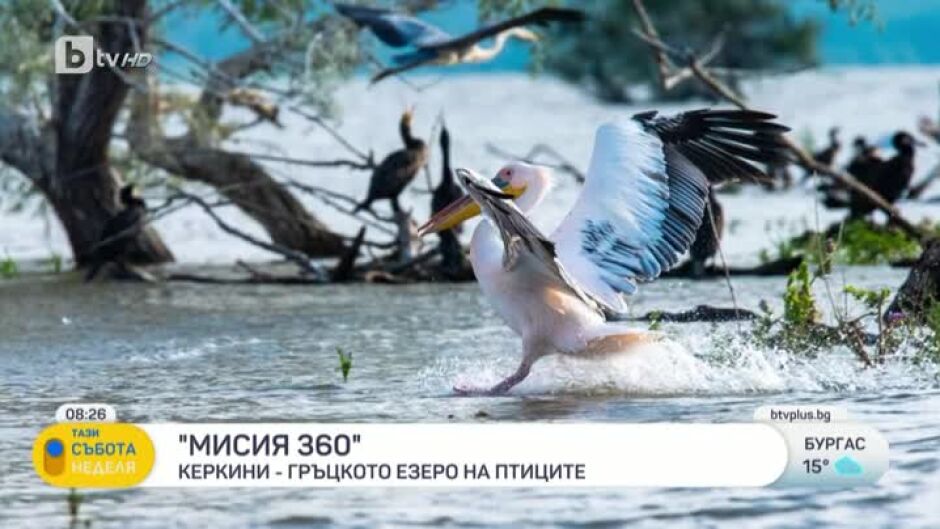 „Мисия 360“: Керкини - гръцкото езеро на птиците
