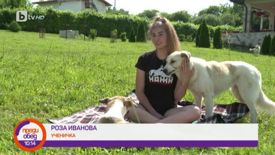 Мисия доброволец! 18-годишната Роза Иванова, която дава втори шанс на бездомните животни
