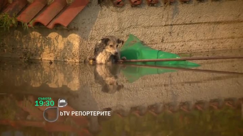 Тази събота в "bTV Репортерите": Как живеят хората в Тетевенско, Мизия и село Бисер след наводненията?