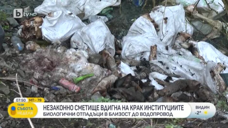 Незаконно сметище от мъртви животни вдигна на крак институциите