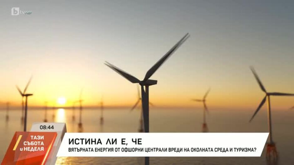 "Истина ли е, че..." вятърната енергия от офшорни централи вреди на околната среда и туризма?
