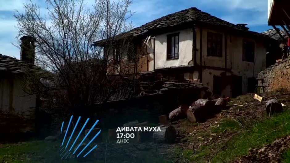 "Дивата муха" на пътешествие до най-мистичните и красиви места в България - днес от 17 часа по bTV Action