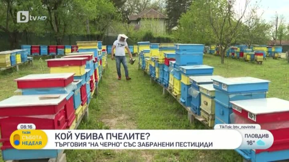 Кой убива пчелите?