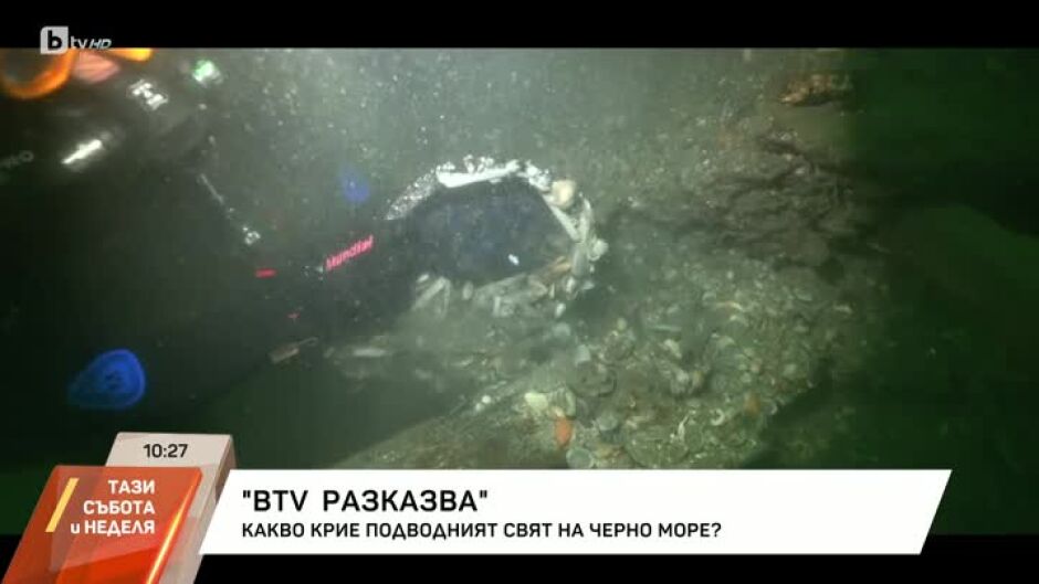 Какво крие подводният свят на Черно море?