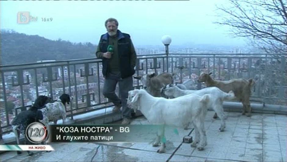 Коза Ностра по български