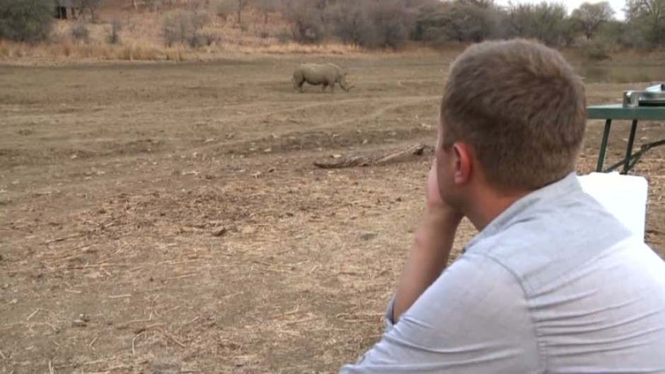 Да срещнеш отблизо носорог