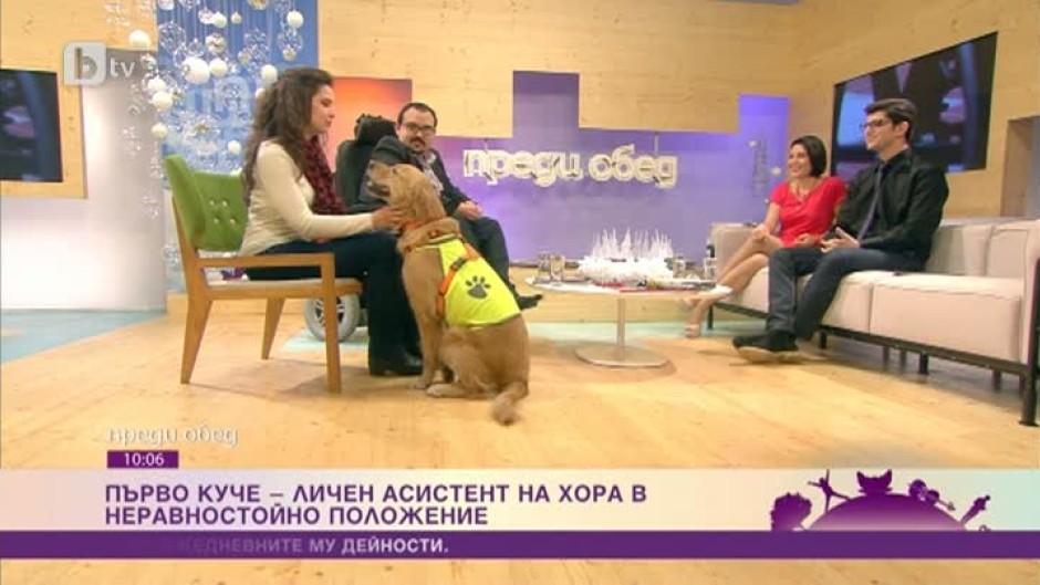 Куче - личен асистент на хора с увреждания