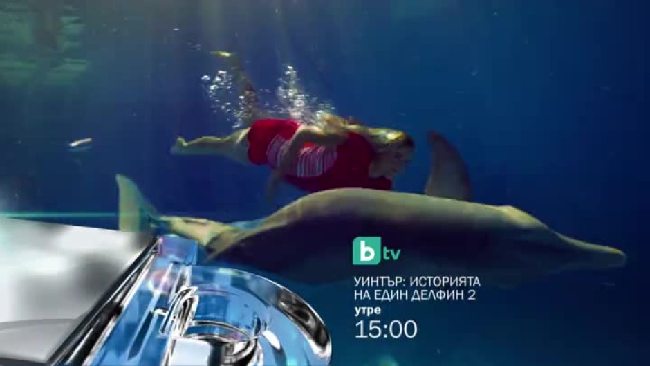 Историята на един делфин 2 - утре от 15 часа по bTV