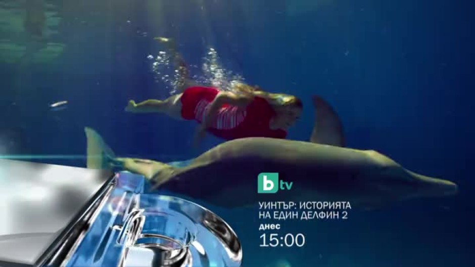 Историята на един делфин 2 - днес от 15 часа по bTV