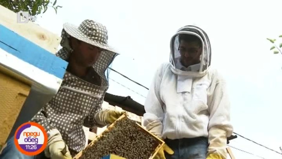"Безстрашният": Сашо Кадиев и пчелите