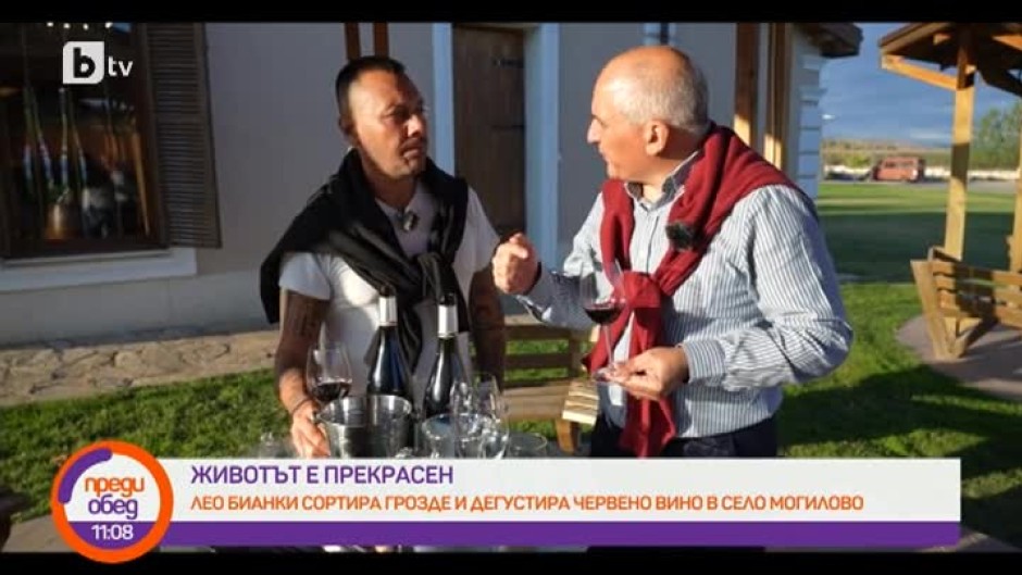 Животът е прекрасен: Лео Бианки сортира грозде и дегустира българско червено вино