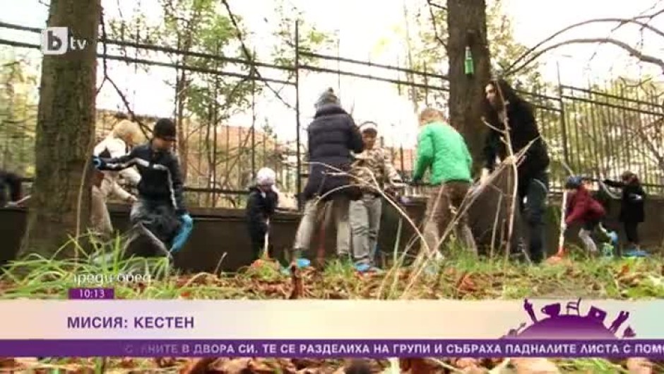 Ученици спасяват кестените в София от изчезване
