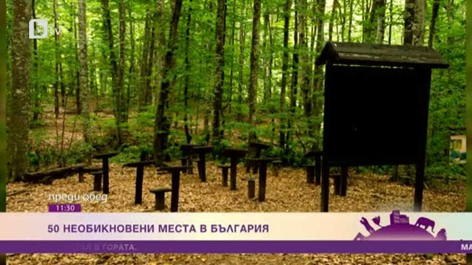 Къде в България се намира единствената класна стая в гората и кое е селото на щъркелите?