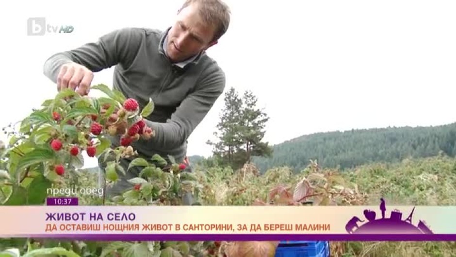 "Живот на село": Да оставиш нощния живот в Санторини, за да отглеждаш малини в България
