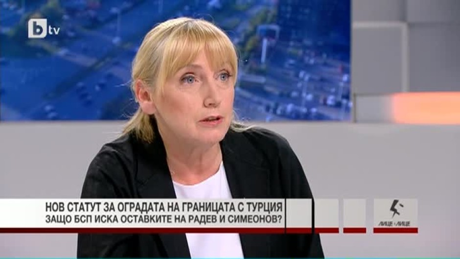Елена Йончева: Оградата е направена неефективно и тя не извършва своята функция