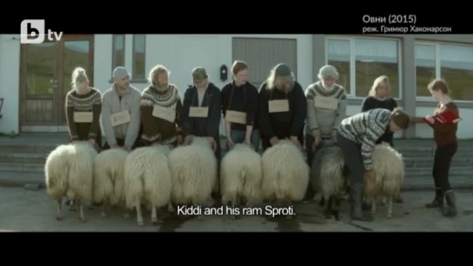 Исландската комедийна драма "Овни" ще се сдобие с австрийски римейк
