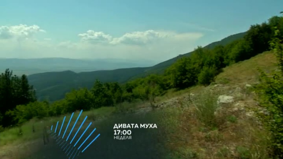 "Дивата муха" на пътешествие из Централна България - тази неделя от 17 часа по bTV Action