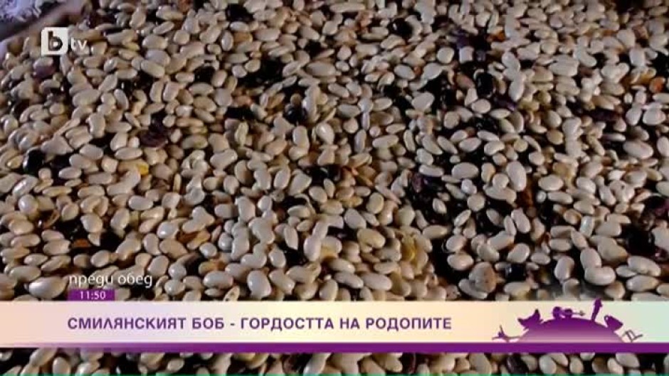 Каква е тазгодишната реколта на боб в село Смилян?