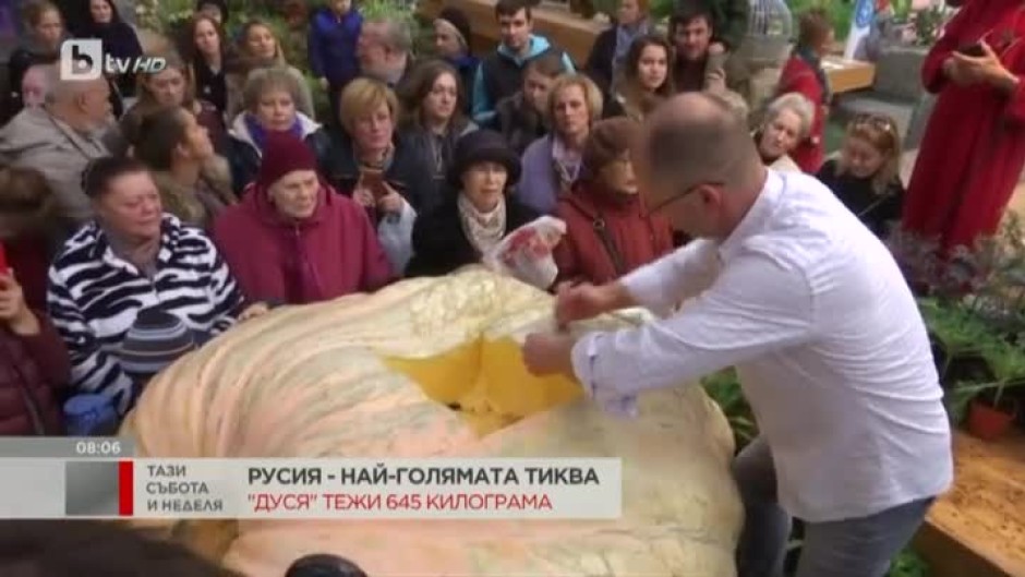 Тиква рекордьор в Русия тежи 645 килограма