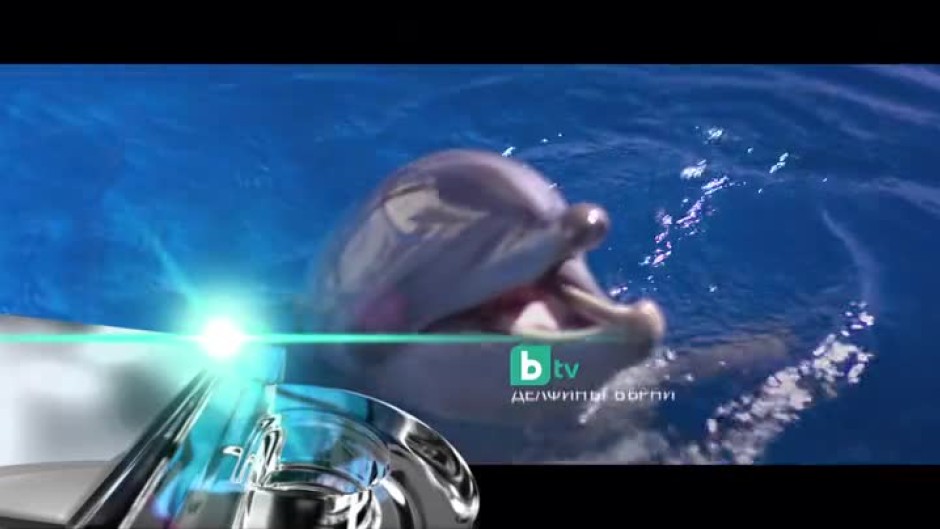 Делфинът Бърни - днес от 15 часа по bTV