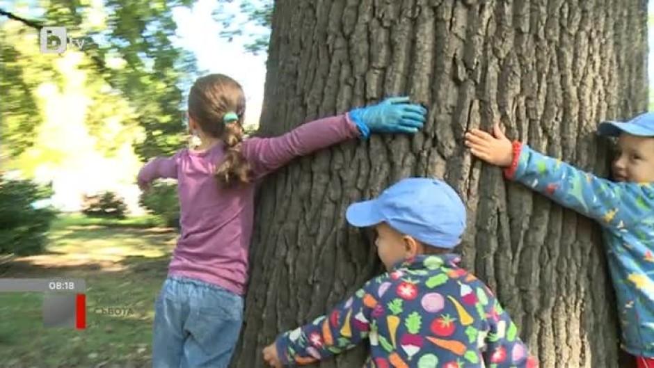 "Добрият пример": За осма поредна година Никола Рахнев заедно с доброволци засаждат дървета из цялата страна