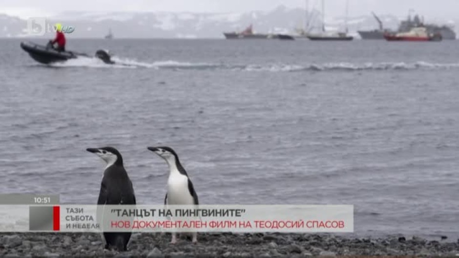 "Танцът на пингвините" - нов документален филм