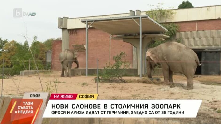 Нови слонове в столичния зоопарк