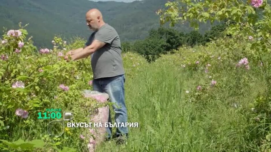 "Вкусът на България" отива в село Буново
